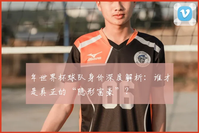 年世界杯球队身价深度解析：谁才是真正的“隐形富豪”？