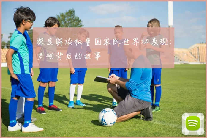 深度解读秘鲁国家队世界杯表现：坚韧背后的故事